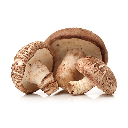 Grzyby shiitake